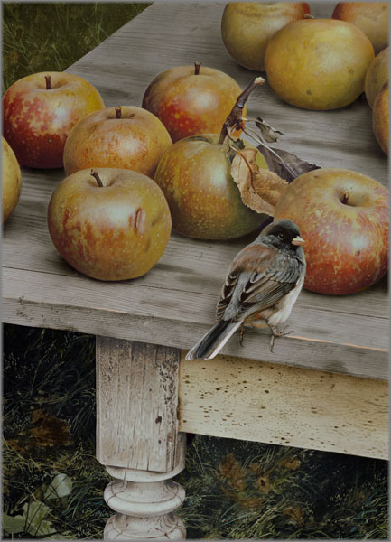 Carl Brenders - Apple Harvest