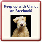 Become a fan of Gallery One on facebook