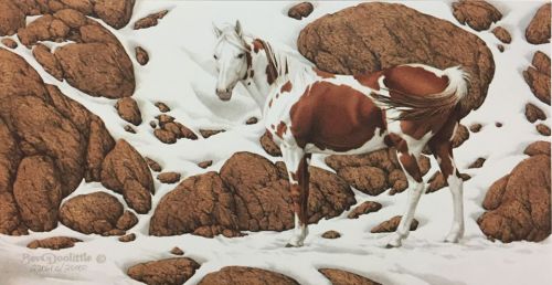 Bev Doolittle - Hide and Seek - mini-2C: ART