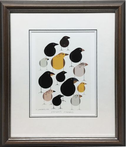 Charley Harper - Darwin's Finches