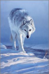 Edward Aldrich - Master of Prowlin'