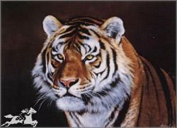 Edward Aldrich - Siberian Tiger