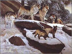 Edward Aldrich - Standing Watch