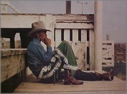 James Bama - Rookie Bronc Rider