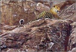 John Banovich - First Light