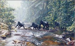 John Banovich - Fleeing Rwanda