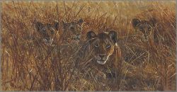 John Banovich - Heart of the Pride