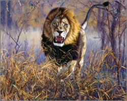 John Banovich - Inside the Red Zone