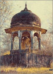 John Banovich - Jewel of India