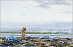 John Banovich - Khunta Mi