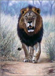 John Banovich - Lionheart