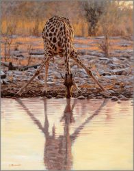 John Banovich - Long Drink