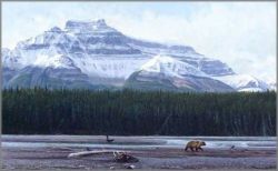 John Banovich - North Country