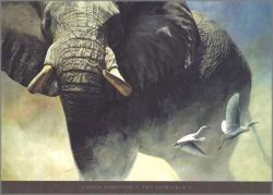 John Banovich - Patriarch