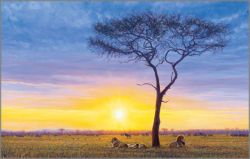 John Banovich - Peaceable Kingdom