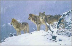 John Banovich - Return