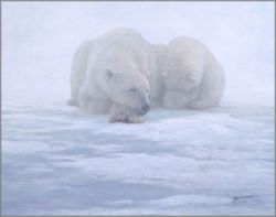 John Banovich - Shelter from the Storm