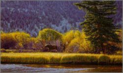 John Banovich - Signs of Autumn