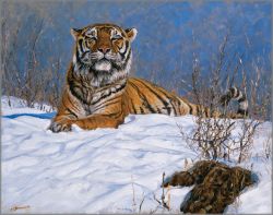 John Banovich - Siberian Tiger
