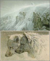 Robert Bateman - Arctic Cliff - White Wolves - Premier Edition