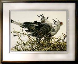 Robert Bateman - At the Nest - Secretary Birds - framed Robert Bateman - At the Nest - Secretary Birds - framed