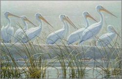 Robert Bateman - Bounty of the Wetlands