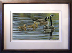Robert Bateman - Canada Geese with Young