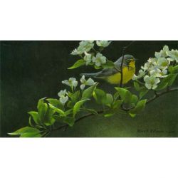 Robert Bateman - Canada Warbler and Pear Blossoms