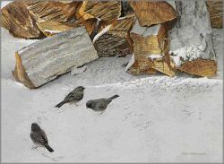Robert Bateman - Cherrywood with Juncos Robert Bateman - Cherrywood with Juncos