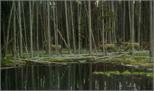 Robert Bateman - Elk at Yellowstone