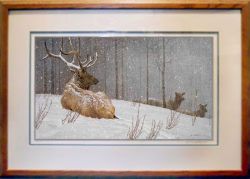 Robert Bateman - Evening Snowfall - American Elk - framed Robert Bateman - Evening Snowfall - American Elk - framed