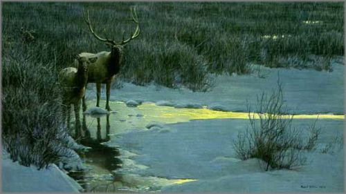 Robert Bateman - Evening Light - Elk