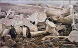 Robert Bateman - Gentoo Penguins and Whale Bones