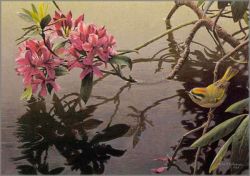 Robert Bateman - Golden-Crowned Kinglet and Rhododendron