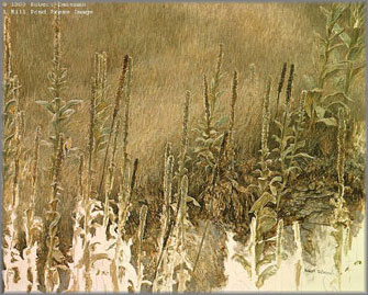 Robert Bateman - Goldfinch with Mullein