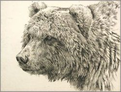 Robert Bateman - Grizzly Bear