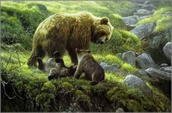 Robert Bateman - Grizzly and Cubs