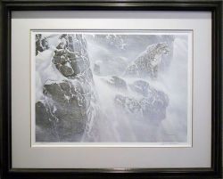 Robert Bateman - High Kingdom - Snow Leopard - framed Robert Bateman - High Kingdom - Snow Leopard - framed