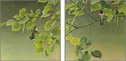 Robert Bateman - Hummingbird Pair Robert Bateman - Hummingbird Pair