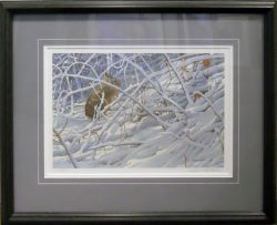 Robert Bateman - In the Briarpatch - Cottontail - framed Robert Bateman - In the Briarpatch - Cottontail - framed