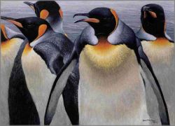 Robert Bateman - King Penguins