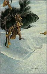 Robert Bateman - Late Winter - Black Squirrel