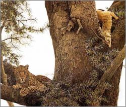 Robert Bateman - Leopard and Thompson Gazelle