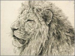 Robert Bateman - Lion