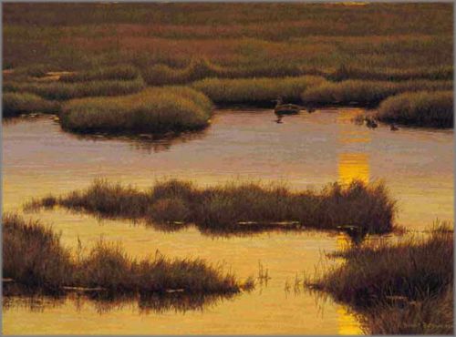 Robert Bateman - Mallard Family at Sunset