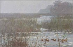 Robert Bateman - Mallard Family - Misty Marsh