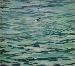 Robert Bateman - Marbled Murrelet
