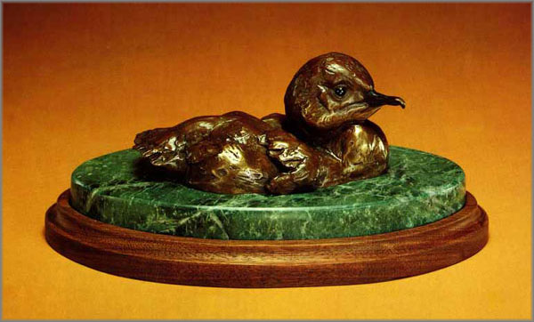 Merganser Duckling by Robert Bateman