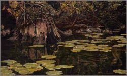 Robert Bateman - Merganser Family in Hiding
