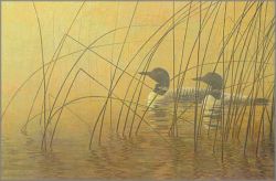 Robert Bateman - Misty Morning - Loons
